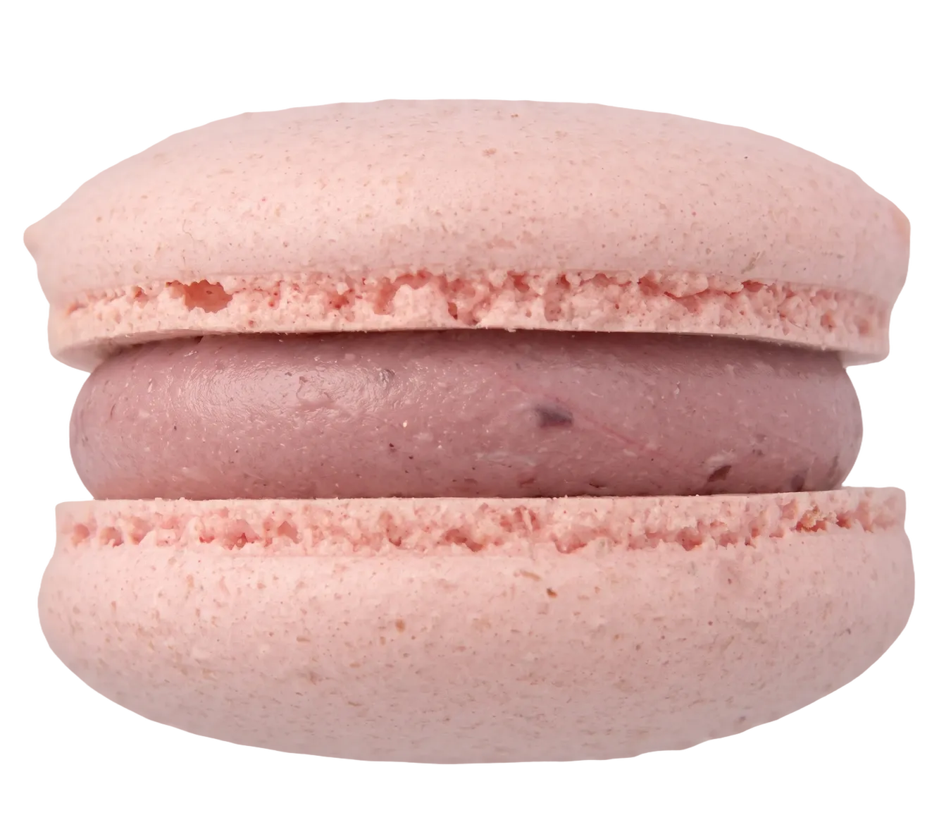 A cherry blossom macaron