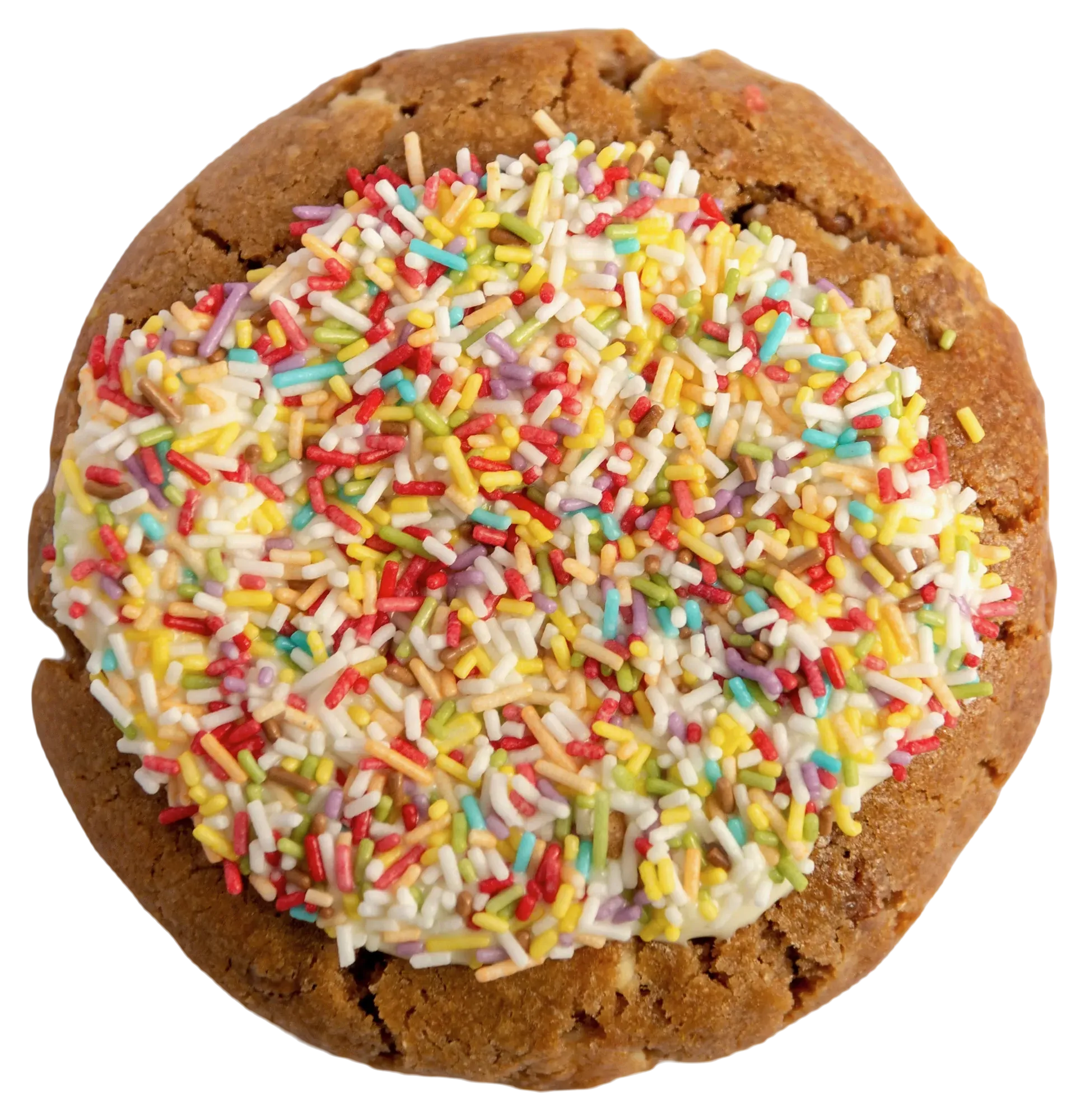 An old school chocolate chip cookie, seen from above