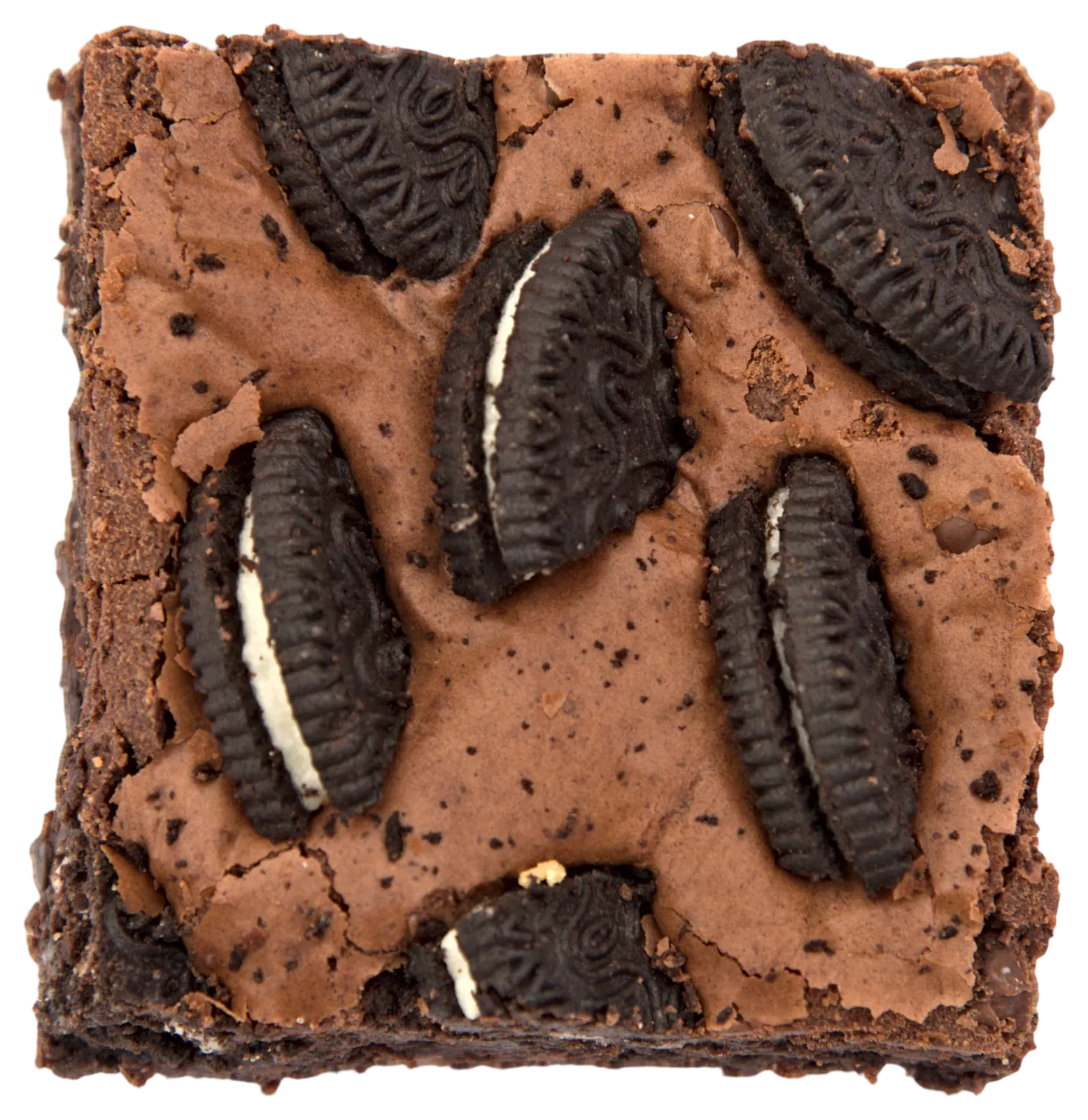 An Oreo brownie, seen from above