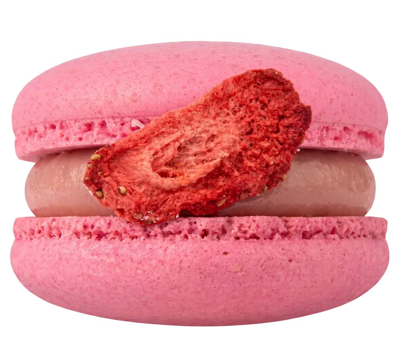 A pink strawberry gelato macaron with a slice of freeze-dried strawberry